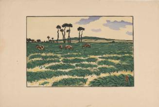 Vaches dans les Champs a la Garde Guerin