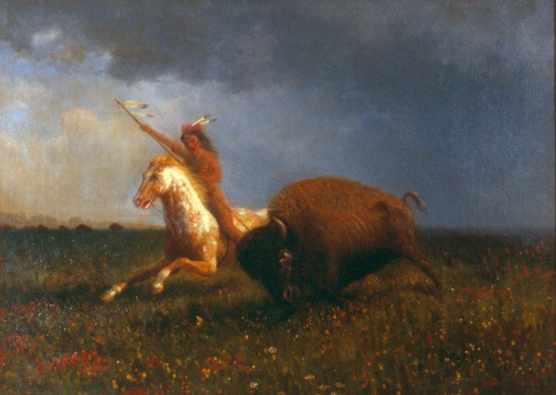 Buffalo Hunter