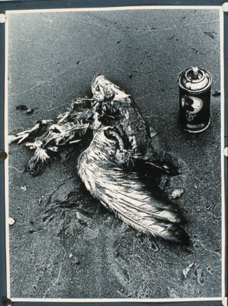 Dead Bird from the series For Protecting Nature